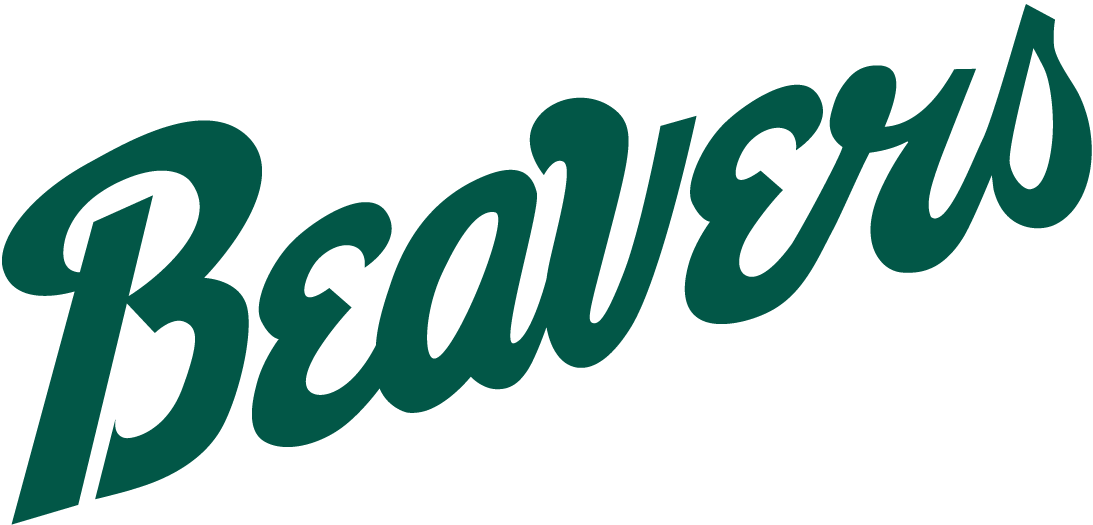 Bemidji State Beavers 2004-Pres Wordmark Logo iron on transfers for fabric